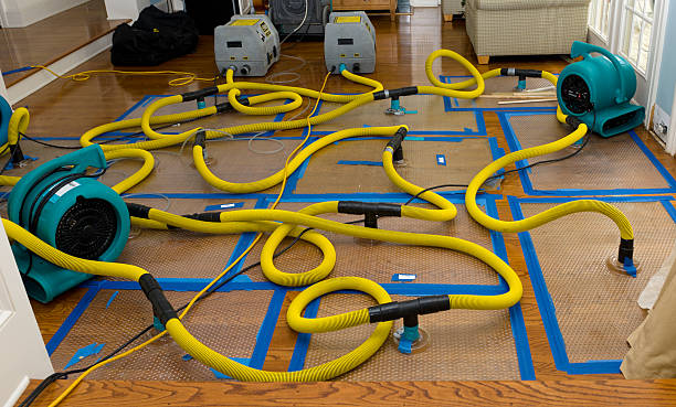Professional Burst Pipe Water Damage technician working in Minnesota City, MN